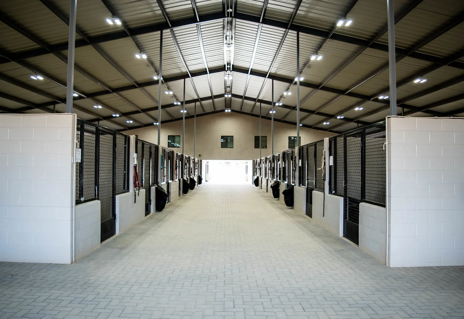 Covered stable aisle lined with individual horse stalls